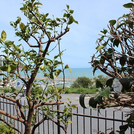 Froggy House Villa San Lorenzo al Mare Eksteriør billede