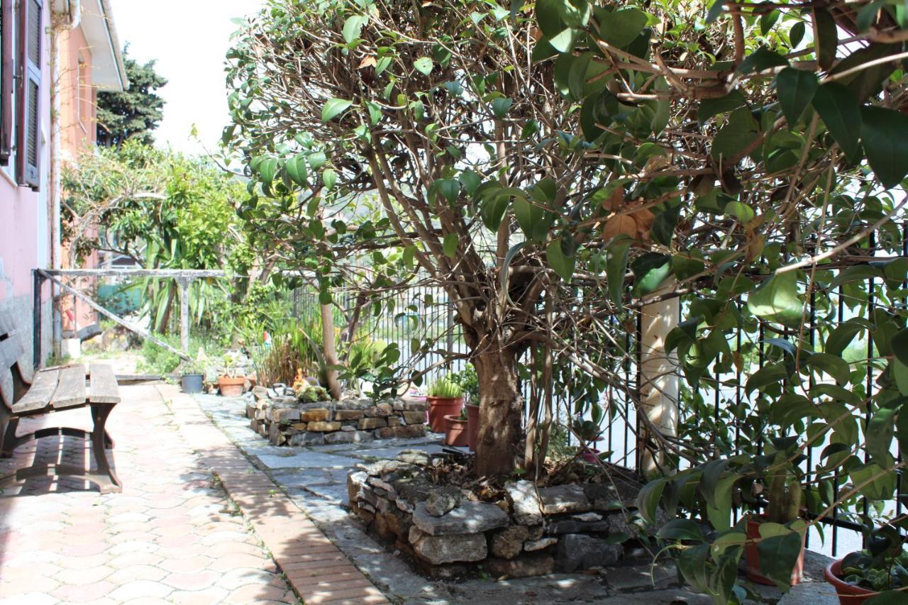 Froggy House Villa San Lorenzo al Mare Eksteriør billede